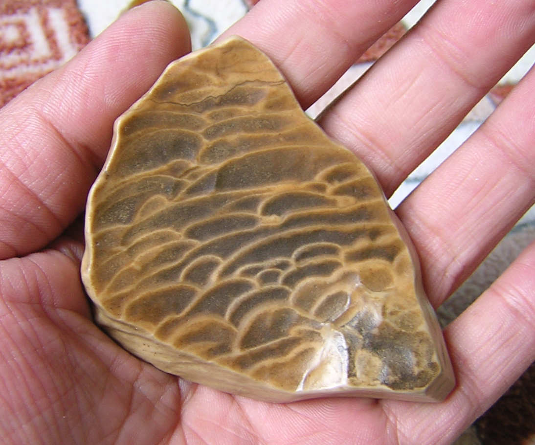  p>戈壁石 gebi stone,顾名思义产于沙漠戈壁,材质优良,造型多样,颜色