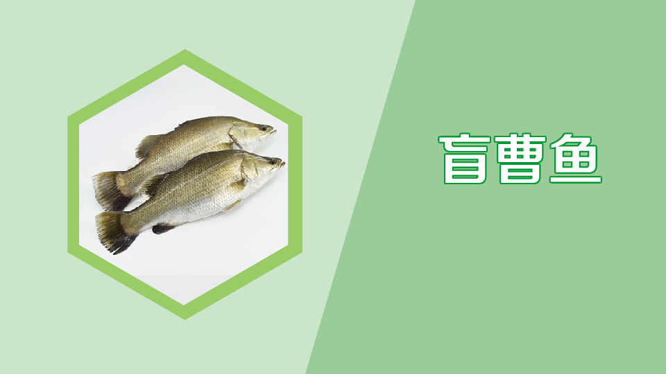 盲曹鱼:优质高档水产品