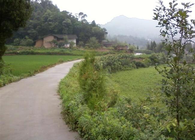  p>铜鼓乡,隶属于四川省南充市仪陇县,地处 a target="_blank" href="