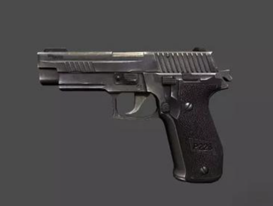 Sig p228_百度百科