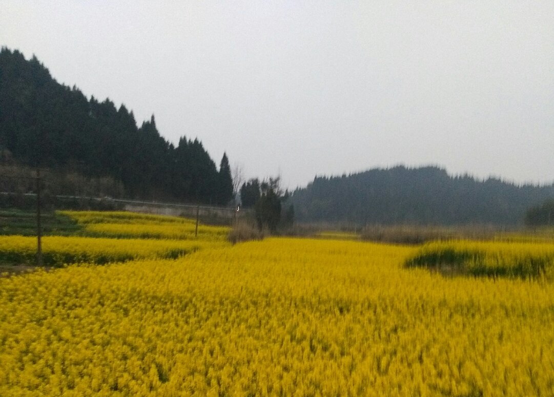 ">白马镇,隶属于 a target="_blank" href="/item/四川省/15626925"