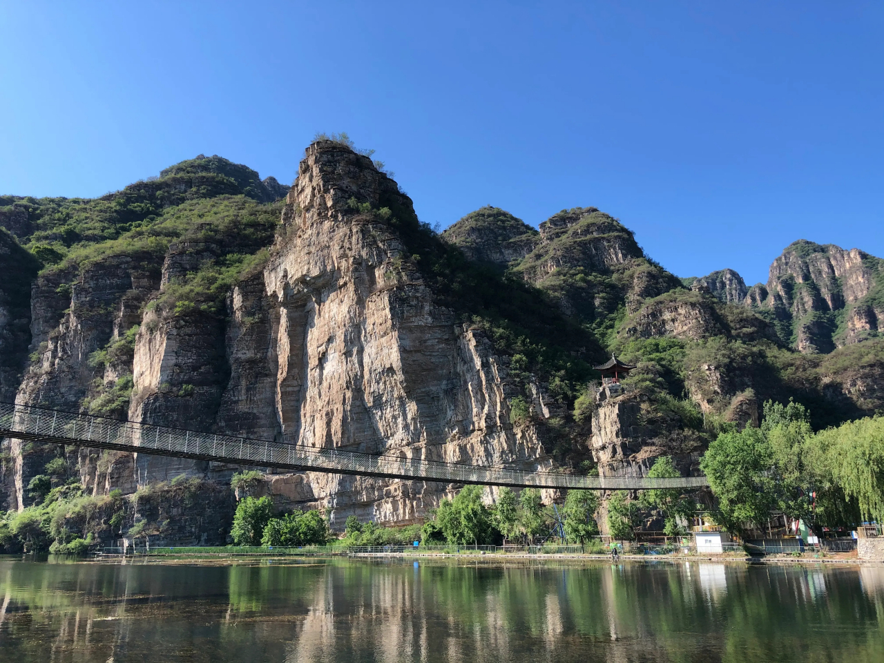 硅化木国家地质公园