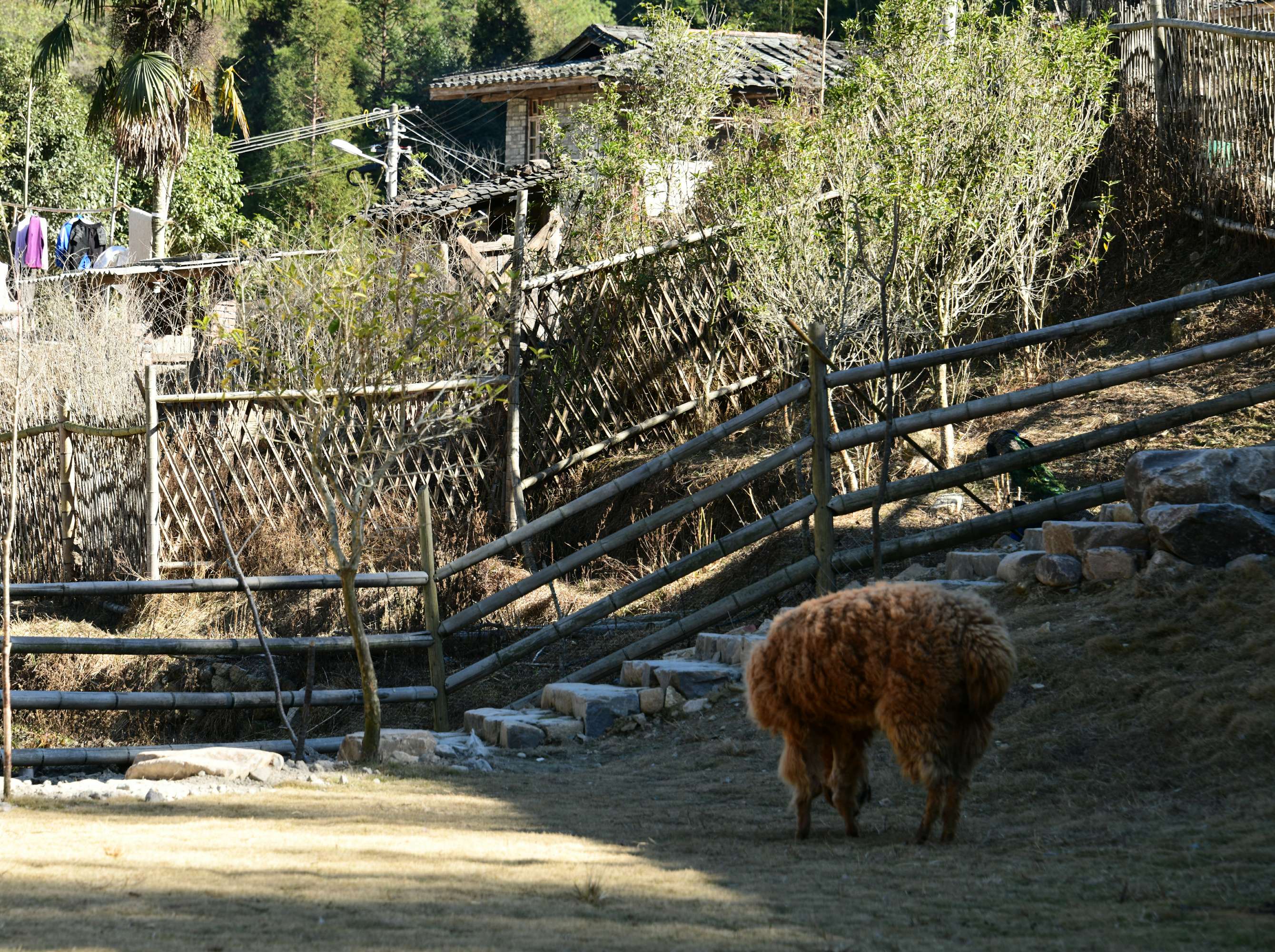  p data-id="gnx36ql6ow">汤川乡,隶属于福建省三明市尤溪县,地处 a