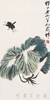 白菜蜻蜓