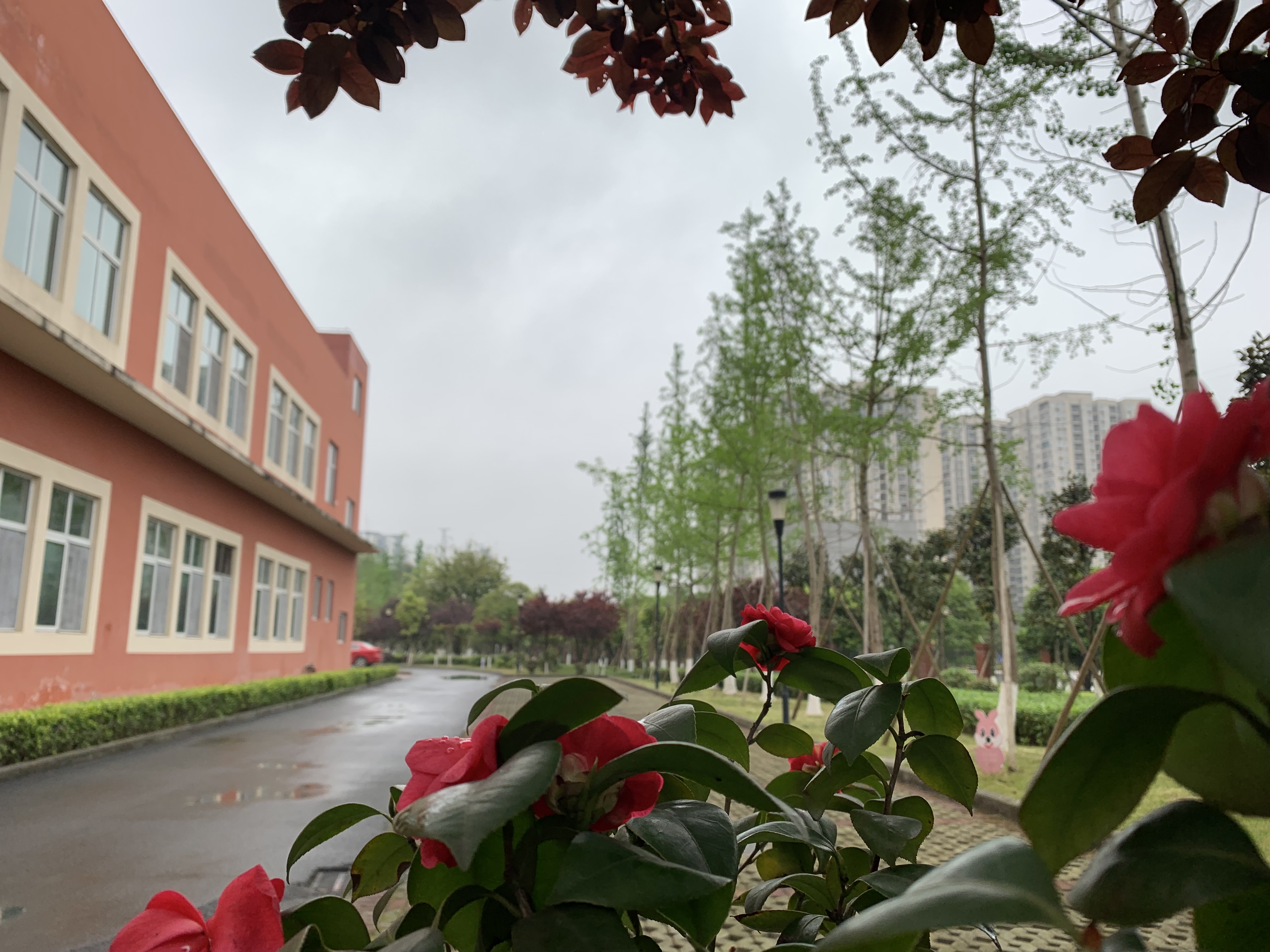 重庆市沙坪坝区学府悦园第一小学校