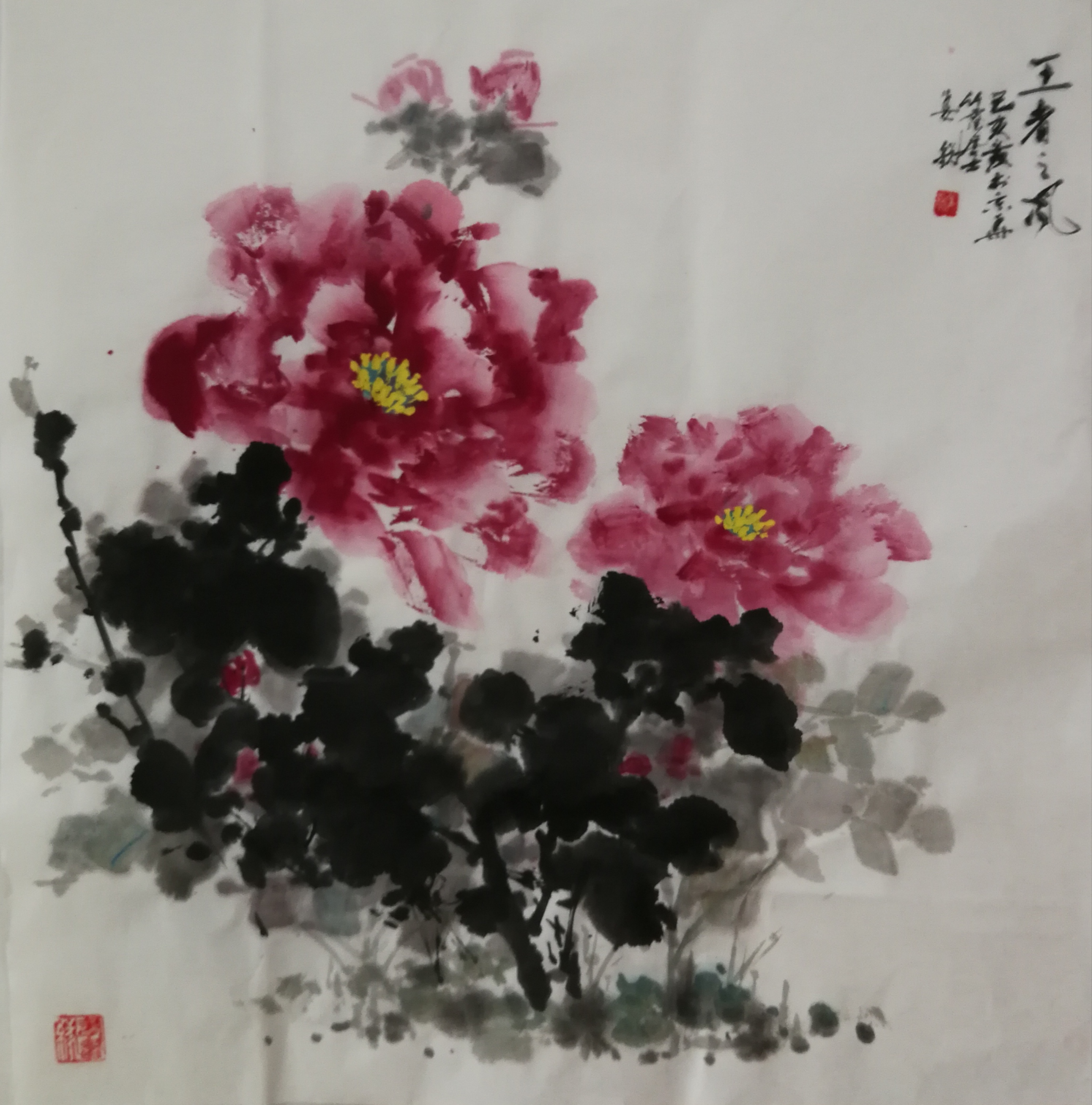 姜锐