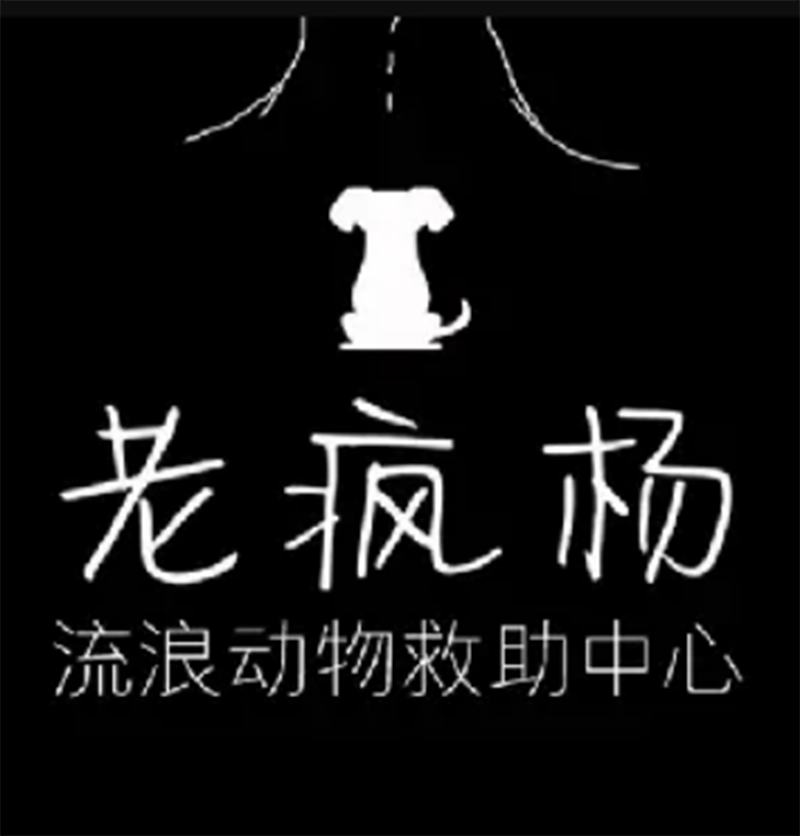 老疯杨救助中心