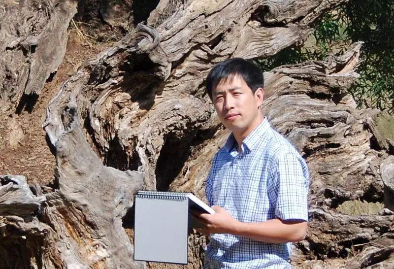  p data-id="gnywlvouhr">高海平,中国美术家协