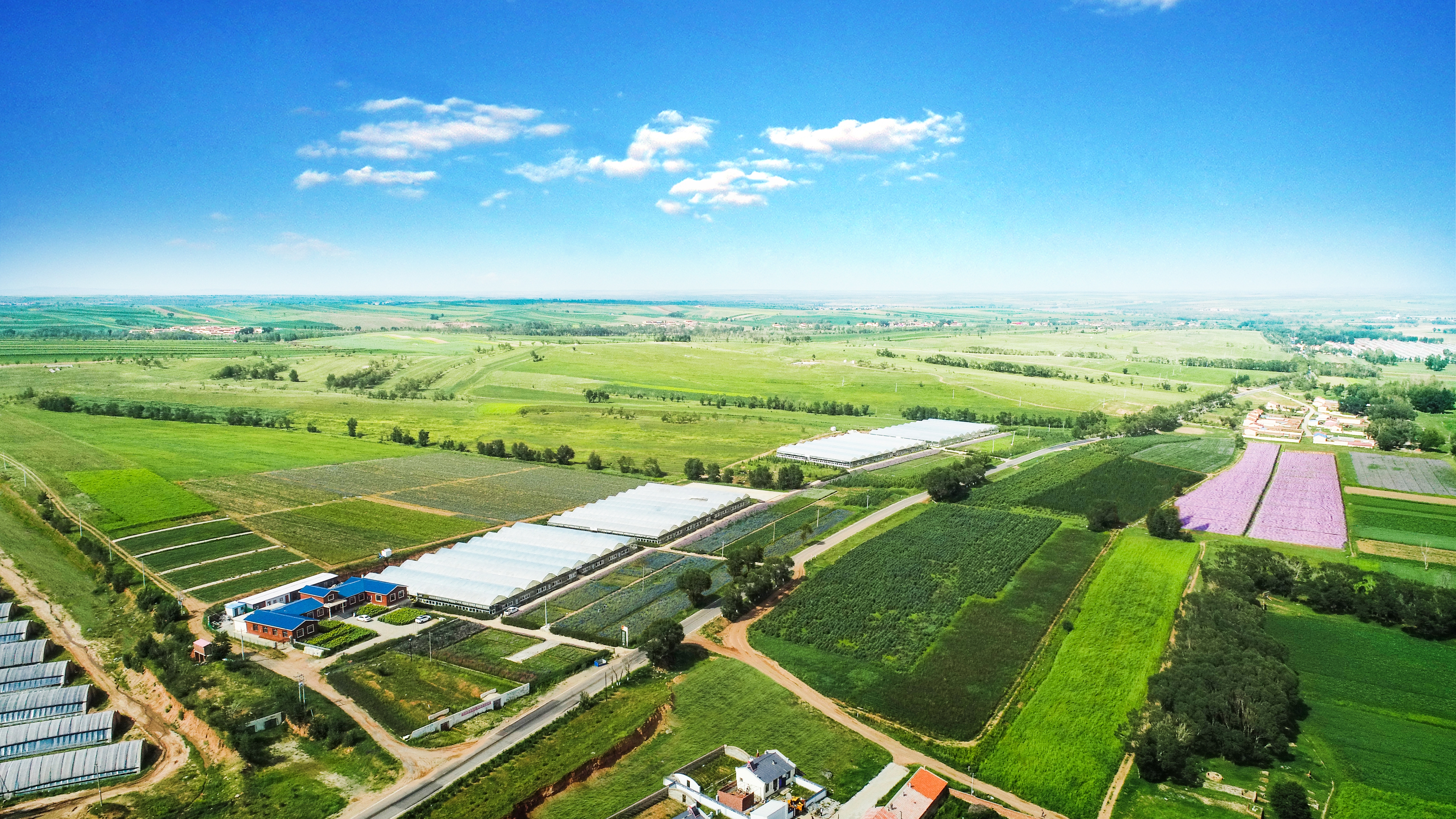 蒙草生态环境(集团)股份有限公司