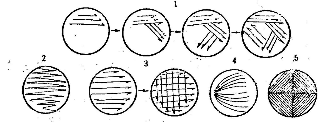 通过平板划线而获得微生物纯培养物的方法,又称 a target="_blank"
