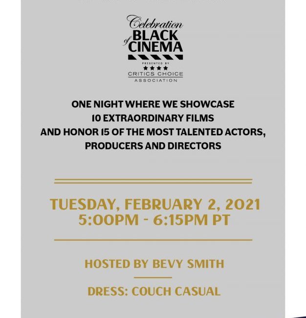 第3届美国评论家选择黑人电影奖