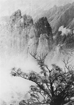 <p>黄山风景图