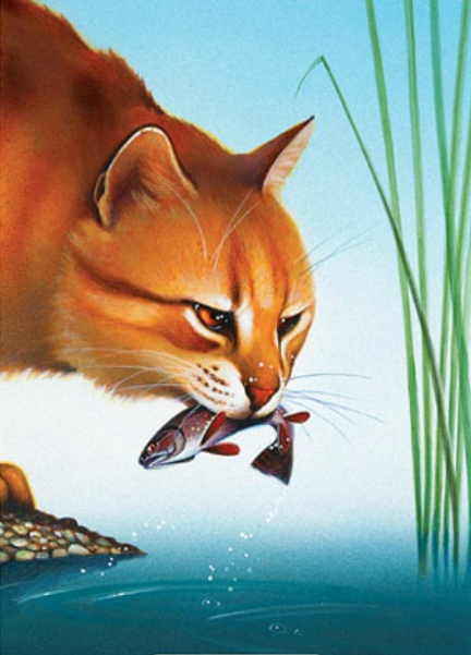  p data-id="gnxb93swg7">河族(riverclan)是艾琳·亨特所著《猫武士