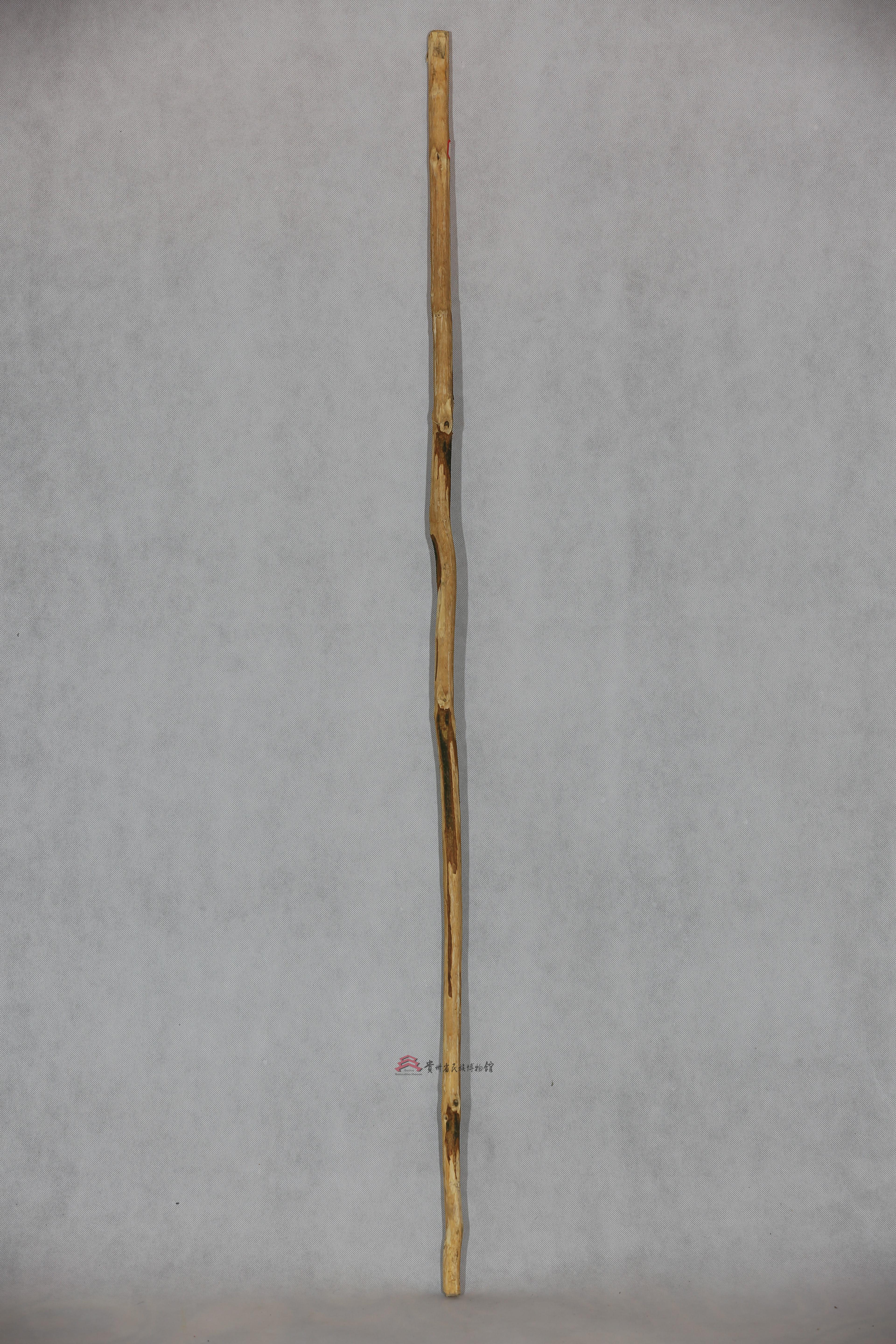 当代威宁彝族撮泰吉