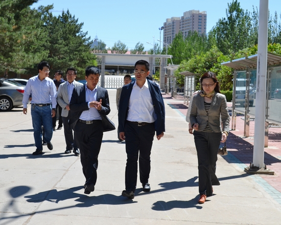 泰来县政府安全生产委员会