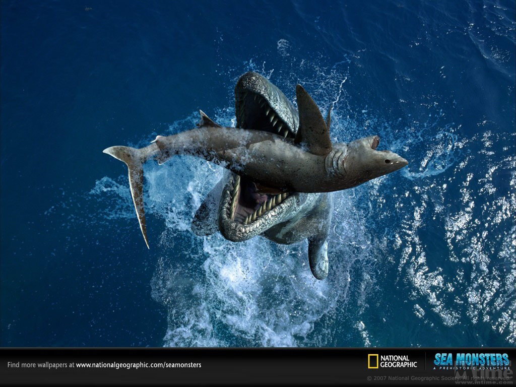  p>显生宙,指"看得见生物的年代",是开始出现大量较 a target="_blank