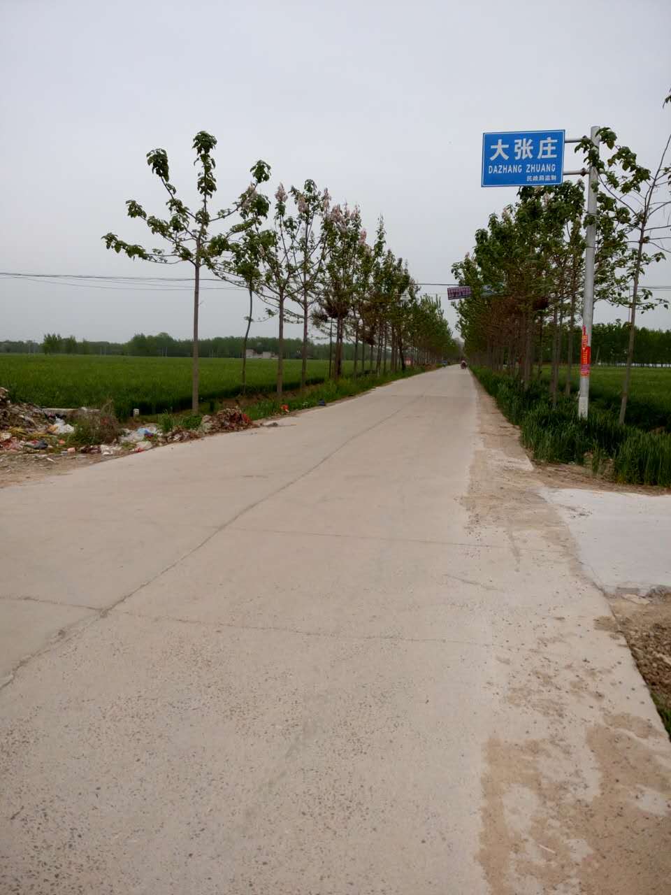 郸城县宁平公主墓