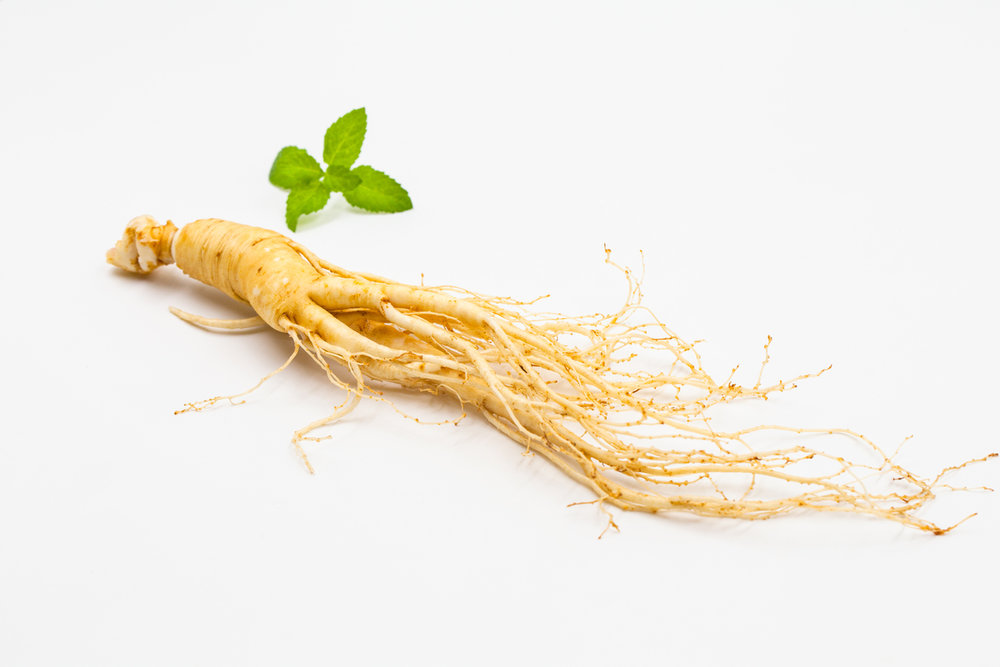  p>人参属(拉丁学名:panax l.