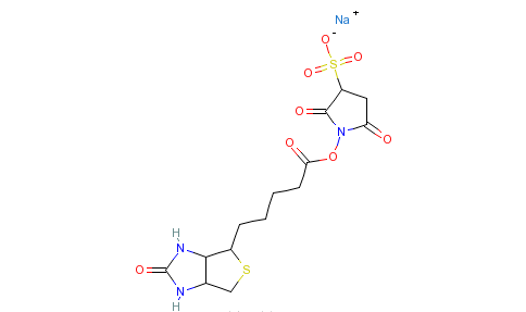  p data-id="gn36d7g2ep">biotinsulfo-osu是一种化学物质,化学式为