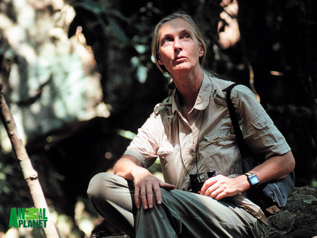 珍妮&#8226;古道尔