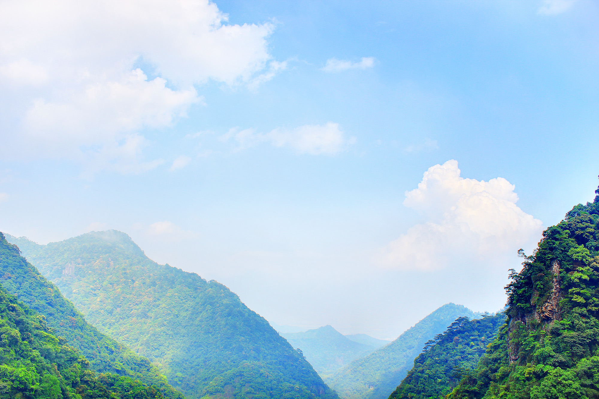 福建旗山国家森林公园