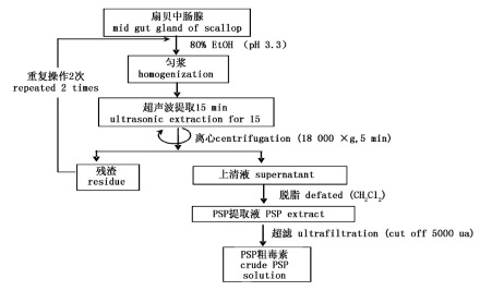 扇贝肠腺中PSP提取流程