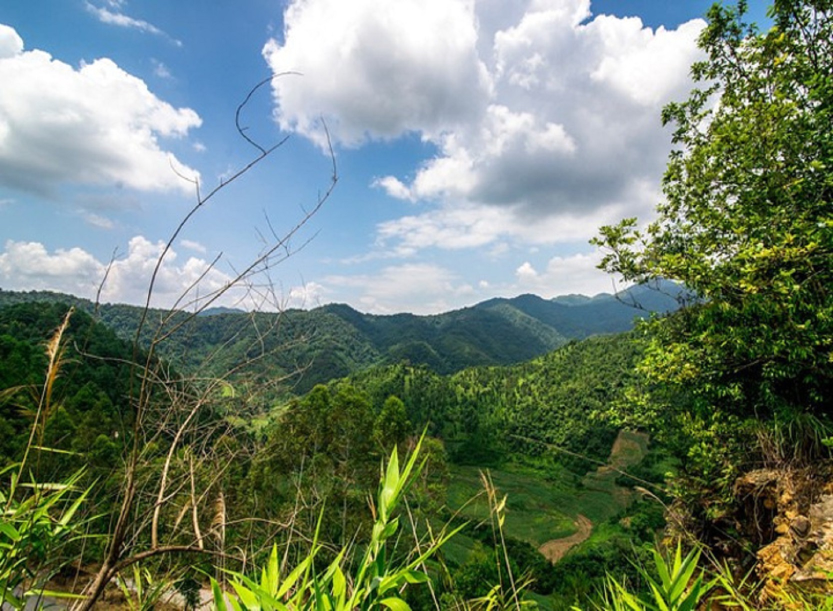  p>大王岭原始森林,一般指百色大王岭风景区,位于中国广西壮族自治区