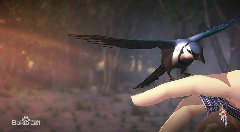 5v9v56k">白凤凰,又称 a target="_blank" href="/item/白凤/5128948"