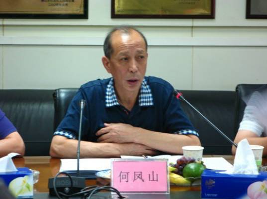 何凤山（国土资源部土地利用管理司副巡视员）_百度百科