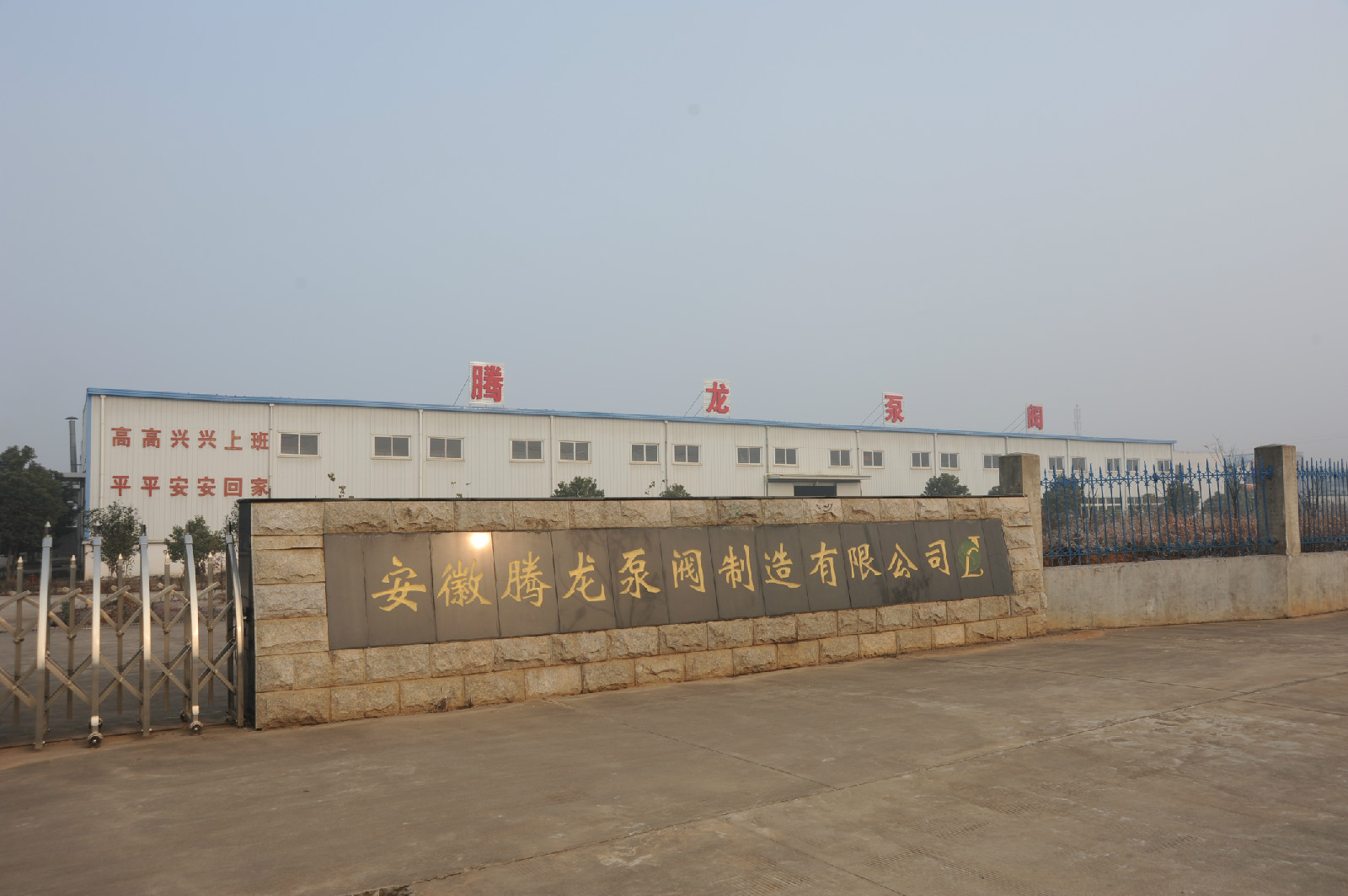 安徽腾龙泵阀制造有限公司