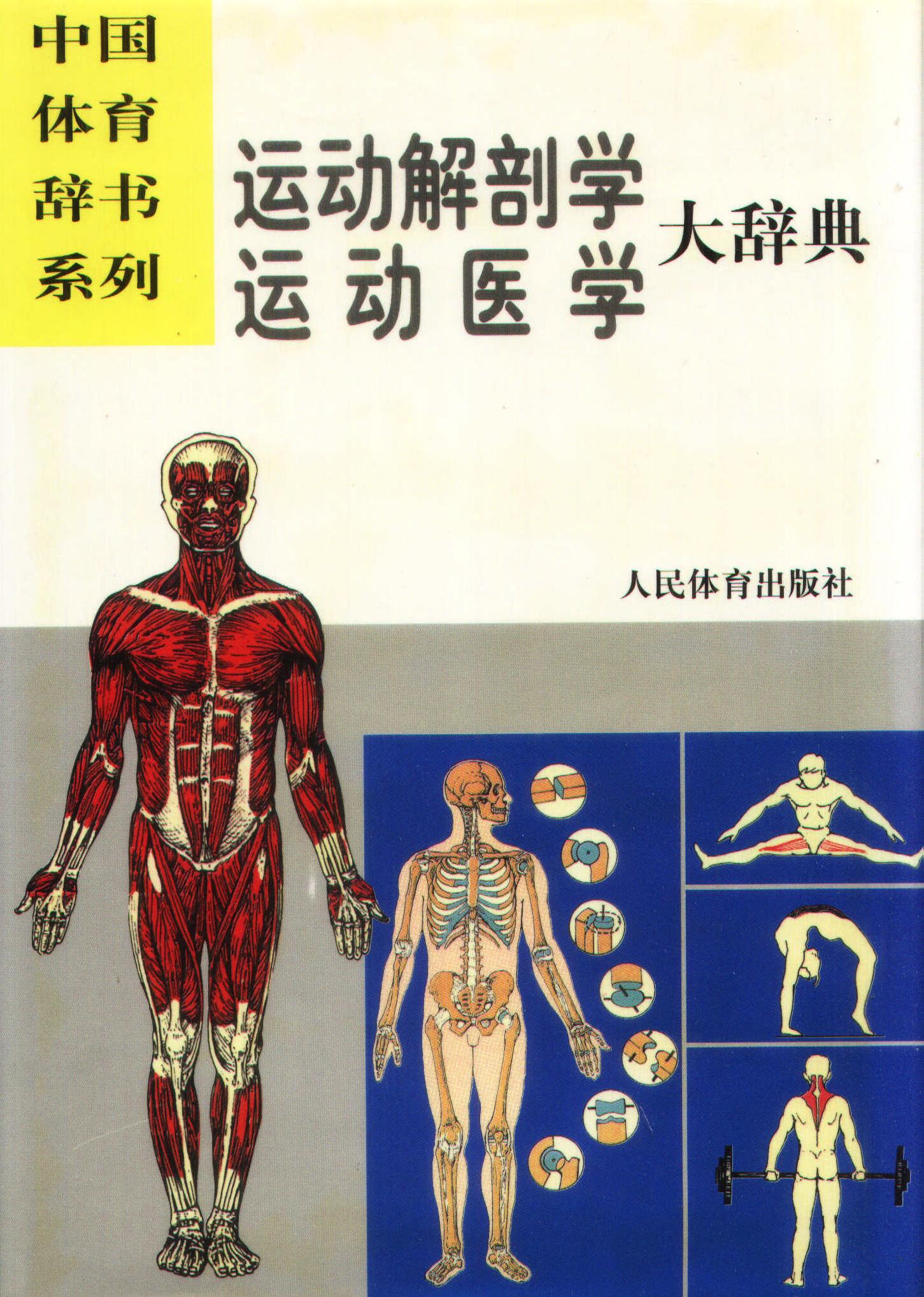 运动解剖学,运动医学大辞典