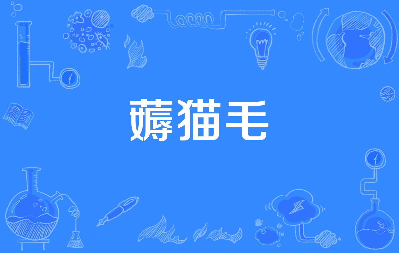 薅猫毛