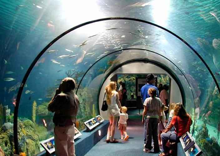  p>香港海底隧道,又名 a href="#">红磡 /a>(kàn)海底隧道(简称红隧