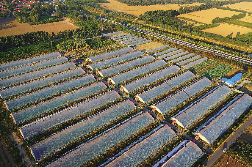  p>农业生产基地是在全国或地区农产品经济中占有较重地位并能长期