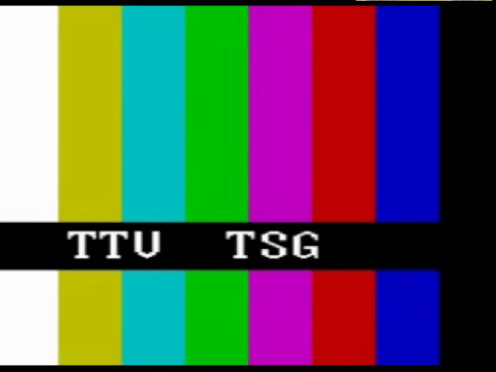  p>测试图(即电视信号测试图)又称测试卡,是指电视台在正常电视节目