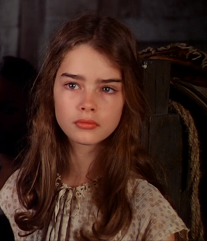  p>波姬·克莉丝特·卡蜜儿·小丝 i>(brooke christa camille