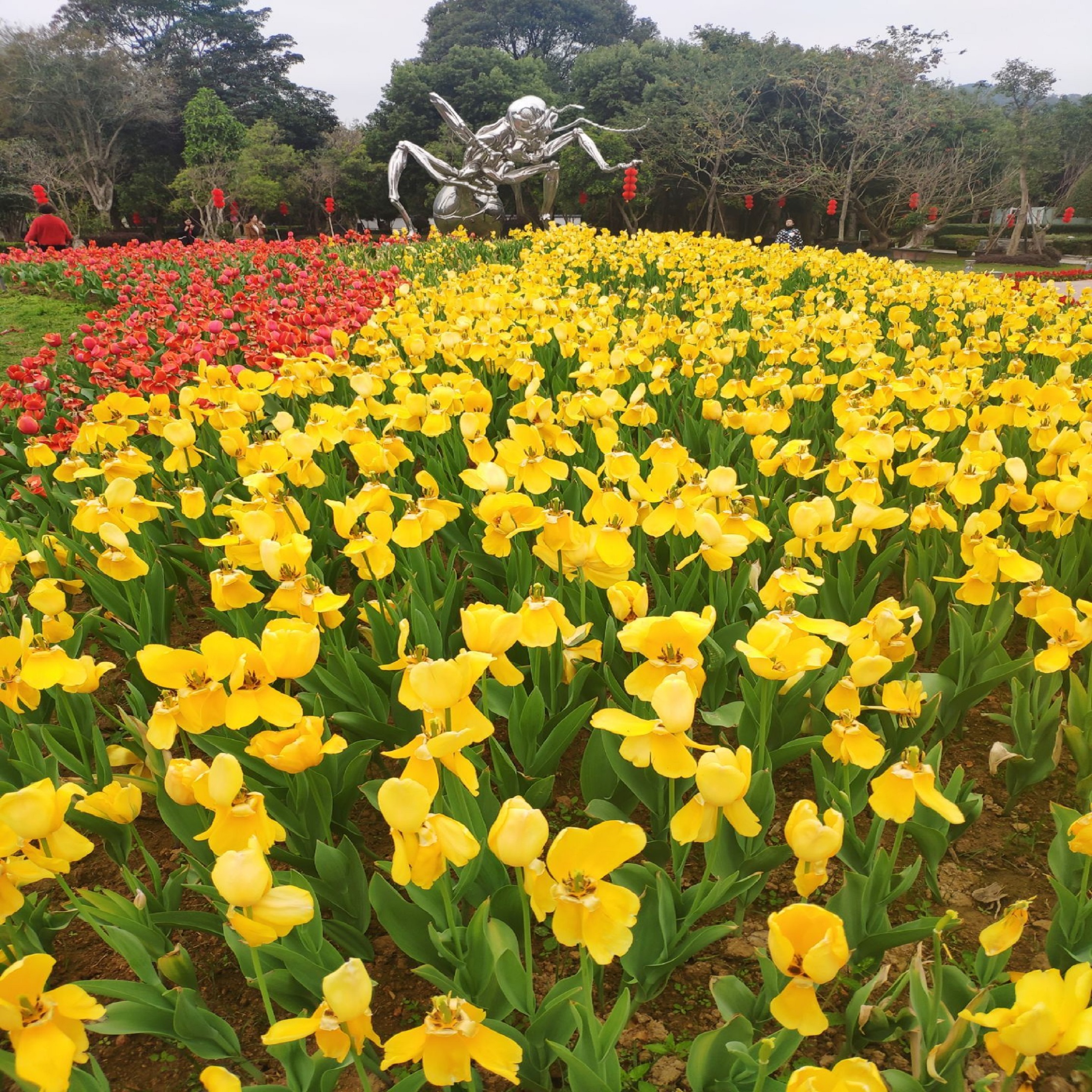  p data-id="gnx7l8kgcc">东南花都占地10000余亩,是国家4a级旅游景区