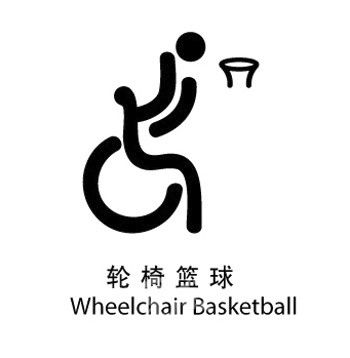 2008年夏季残疾人奥林匹克运动会