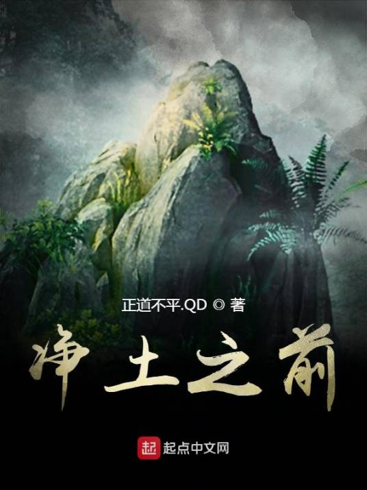 净土之前_百度百科
