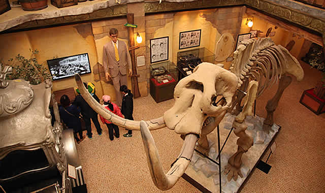 信不信由你博物馆