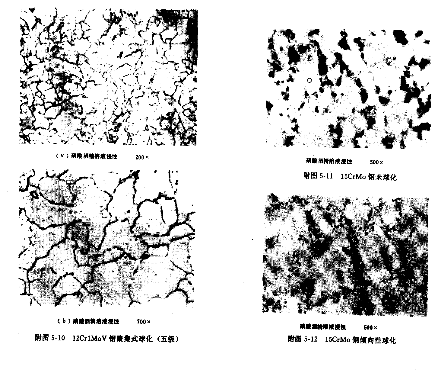 p>粒状珠光体是由铁素体和粒状碳化物组成.