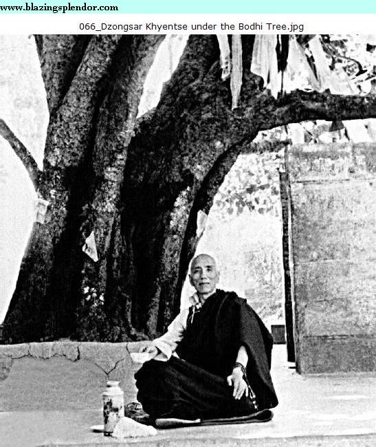 蒋扬钦哲仁波切