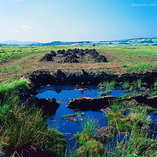 peat bog