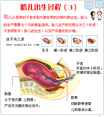 晚期 /a>(28孕周)开始, a target="_blank" href="/item/b超/687882"
