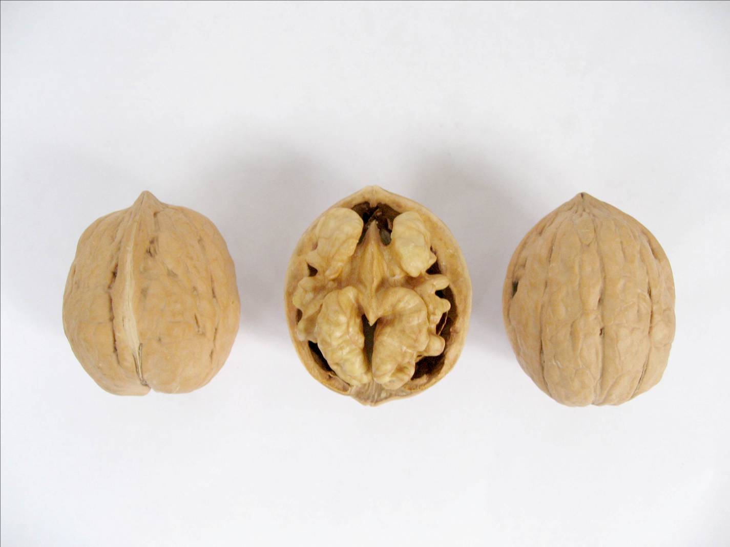  p>"清香核桃"是日本核桃品种中最优良的品种,20世纪80年代初由 a