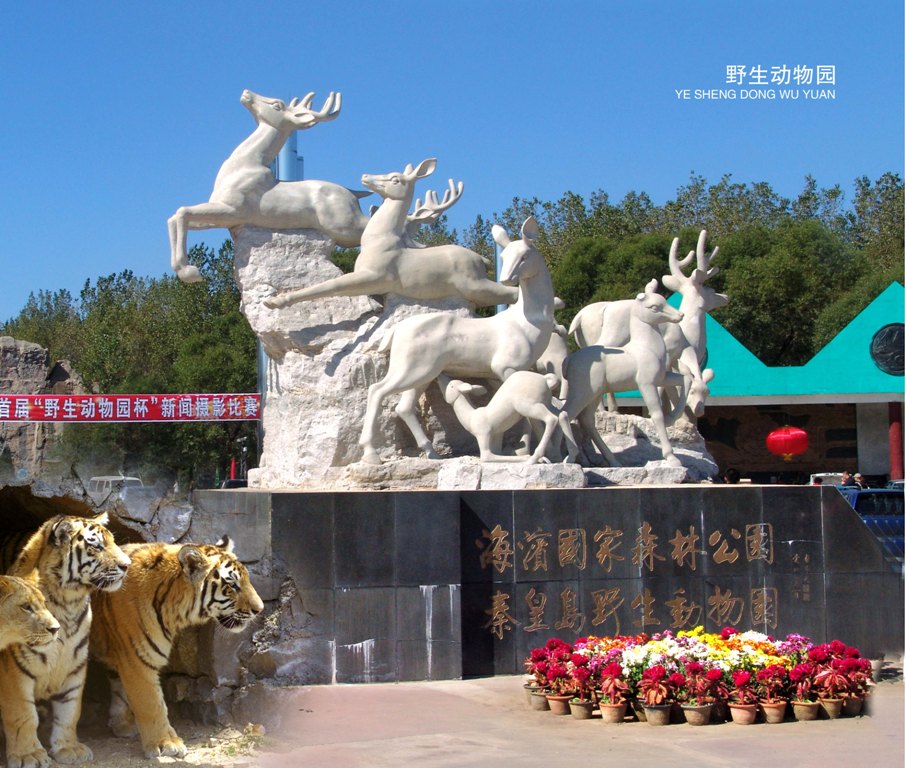  p>秦皇岛野生动物园建于秦皇岛和北戴河之间的 a target="_blank"