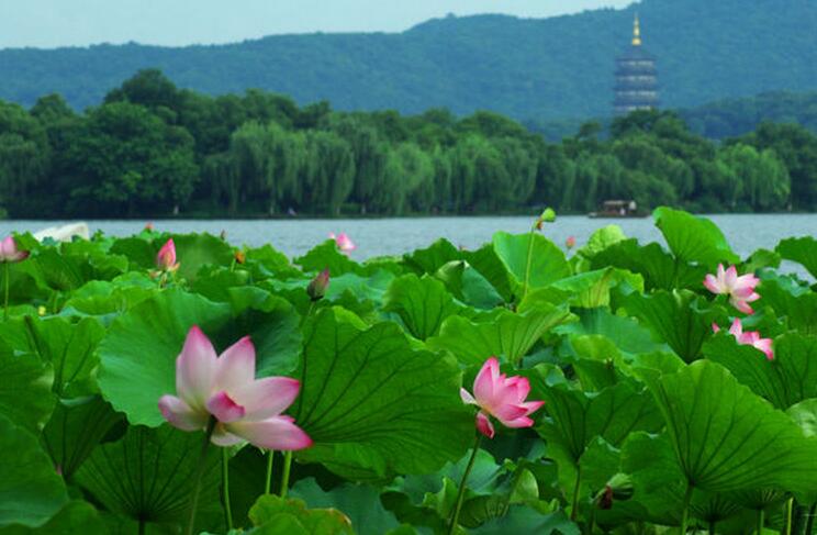  p>西湖水镜,是莆田著名的二十四景之一.