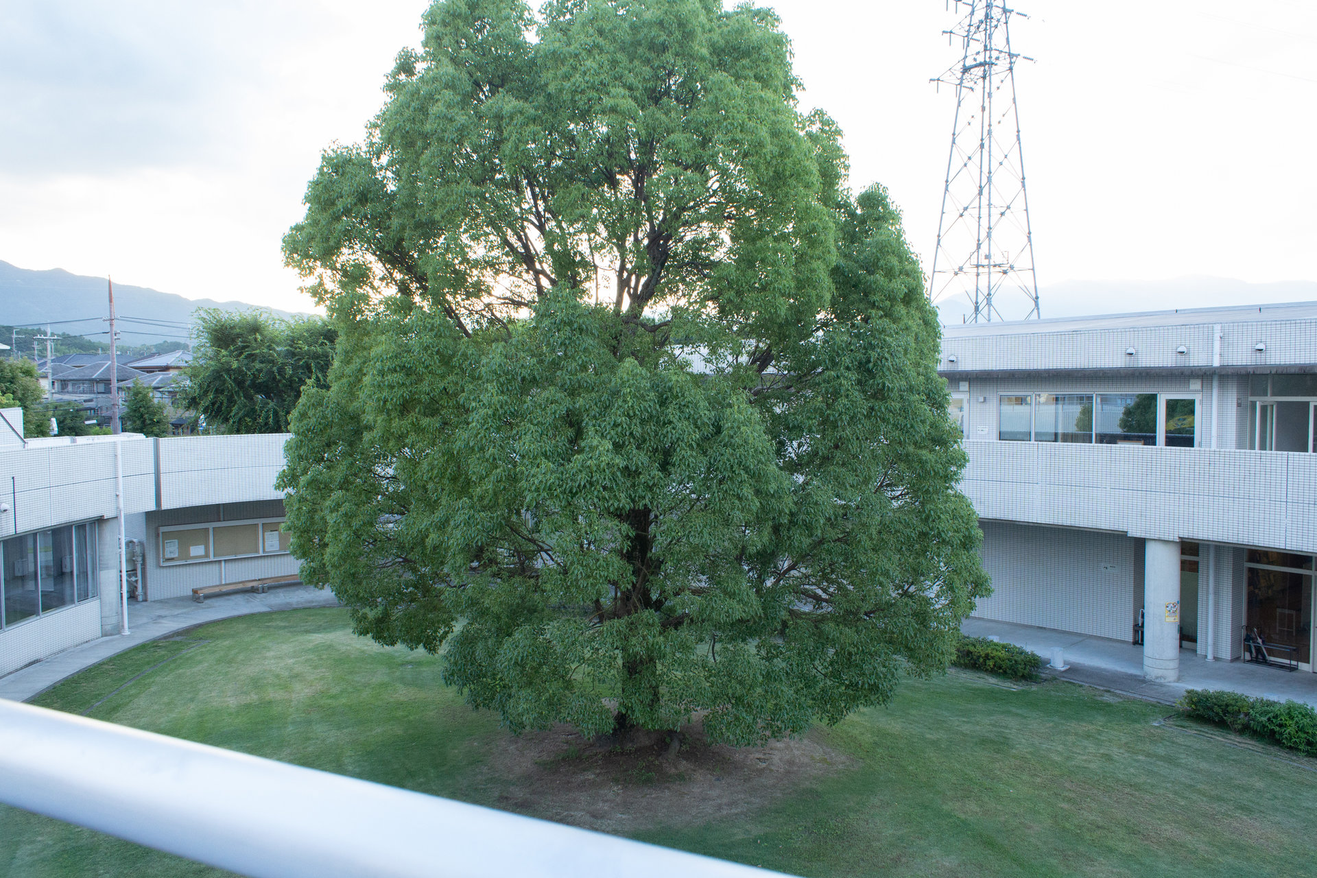  p>成安造形大学(日语:せいあんぞうけいだいがく,英语:seian