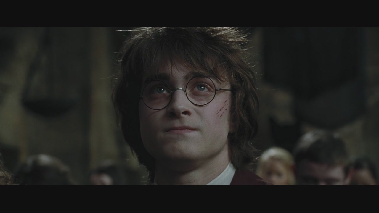 哈利波特与火焰杯(dvd)