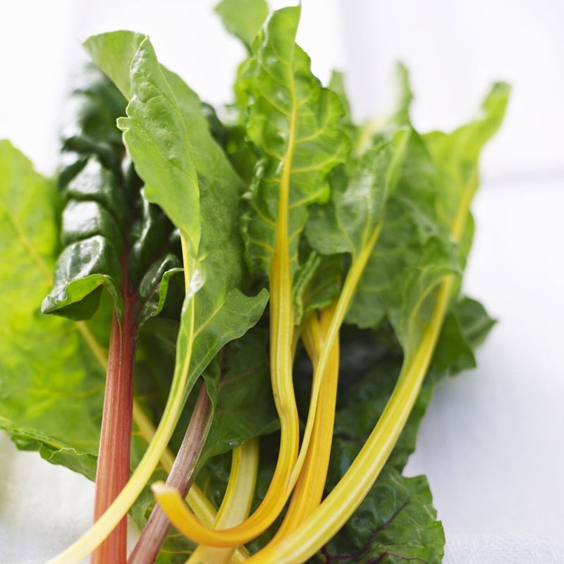  p data-id="gnwgxfjvwz">叶用甜菜一般俗称为君达菜,其叶片肥厚,叶柄